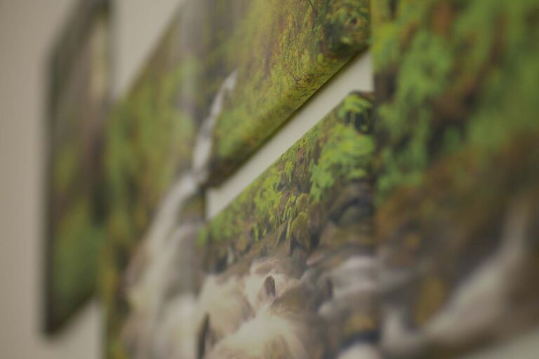 Wandbilder von einem Waldboden mit wilden Bach und Moosboden. Fotografiert in einem schiefen Winkel