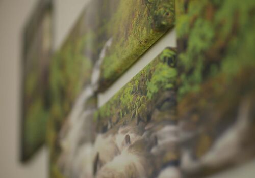 Wandbilder von einem Waldboden mit wilden Bach und Moosboden. Fotografiert in einem schiefen Winkel